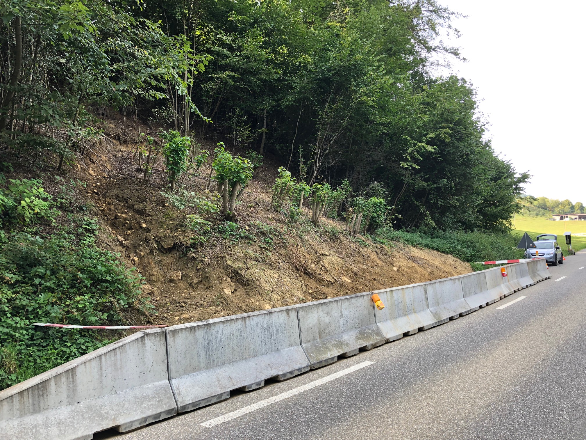 Ormalingen Hemmikerstrasse Hangsicherung